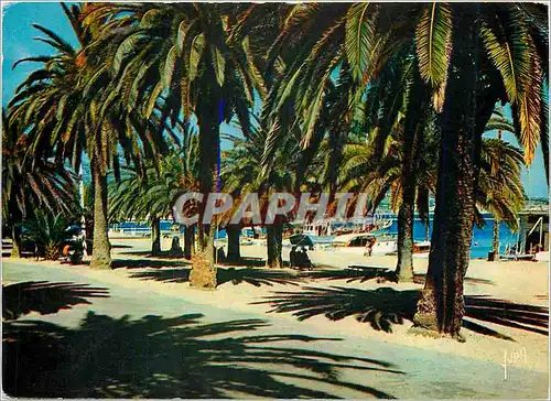 Cartes postales moderne La Cote d'Azur miracle de la nature Bandol Var Le quai du Port