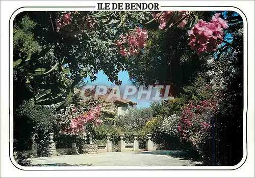 Cartes postales moderne Ile de Bendor Bandol Lauriers roses et blancs de l'ile de Bendor