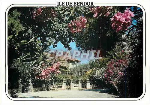 Moderne Karte Ile de Bendor Bandol Lauriers roses et blancs de l'ile de Bendor