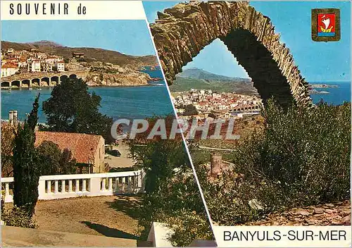 Cartes postales moderne Souvenir de Banyuls sur mer