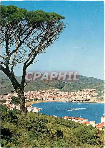 Cartes postales moderne Banyuls sur Mer PO Vue panoramique sur la Rade la Plage et la Ville