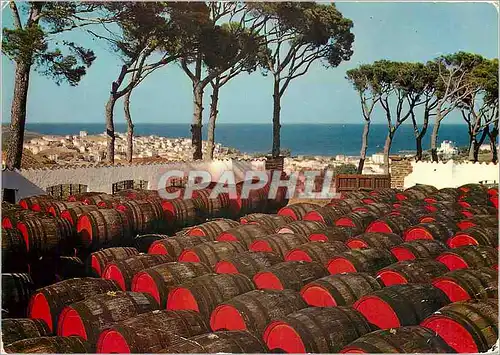 Cartes postales moderne Banyuls sur Mer PO Le Haut Lieu de Banyuls et vue sur la ville