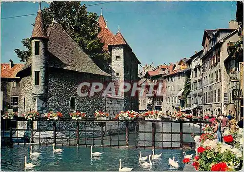 Cartes postales moderne Annecy Les Vieilles Prisons et le Thiou