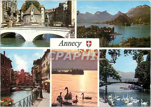 Moderne Karte Annecy et son lac Palais de l'Isle Boie des Talloires