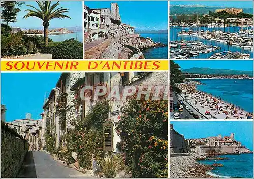 Cartes postales moderne Cote d'Azur Antibes AM