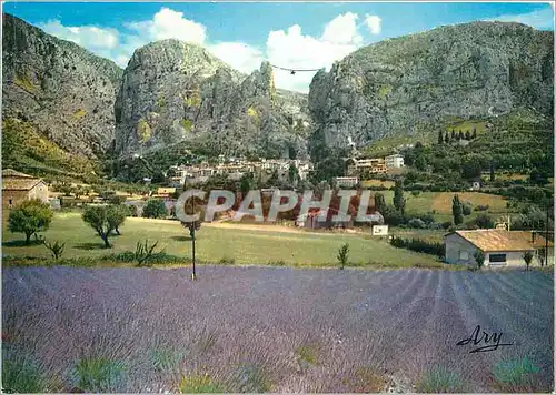 Cartes postales moderne Route de la Lavande Champ de Lavande a Moustiers Ste Marie