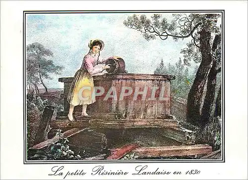 Moderne Karte La Lande Vieilles Gravures de G de Galard de 1830 La Petite Resiniere Landaise