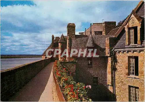 Cartes postales moderne Le Mont Saint Michel Manche La Maison de l'Artichaut