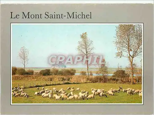 Cartes postales moderne Le Mont Saint Michel Merveille de l'Occident