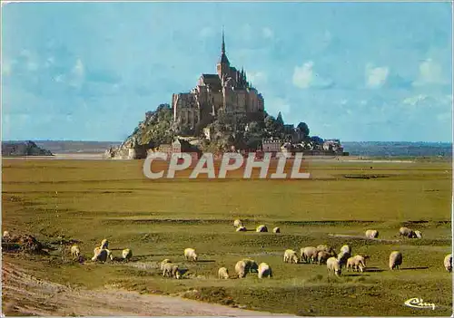 Cartes postales moderne Le Mont Saint Michel Manche Les pres sales