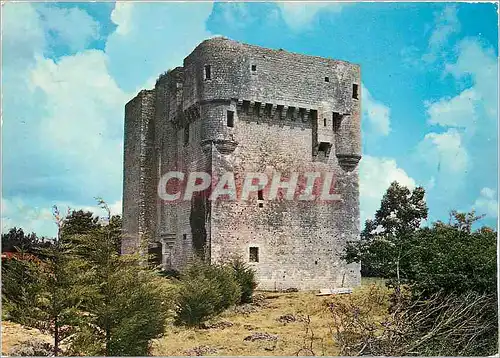 Cartes postales moderne Moricq pres Angles Vendee Vestige d'une forteresse du Moyen Age destinee a la garde du Port de M