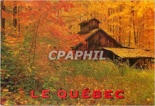 Moderne Karte La Ville de Quebec La campagne quebecoise resplendissante des couleurs de l'automne