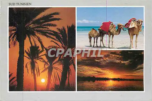 Cartes postales moderne Djerba