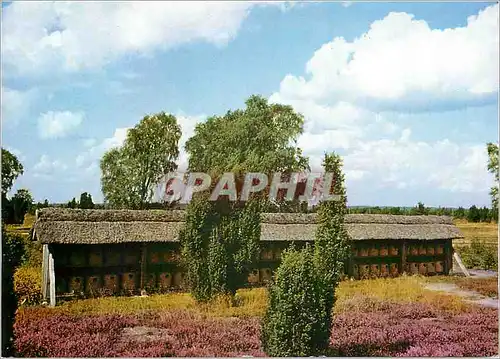 Cartes postales moderne Korb Bienenstand Naturschutzgebiet Luneburger Heide