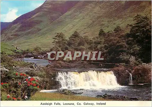 Moderne Karte Aasleigh Falls Leenane Co Galway Ireland