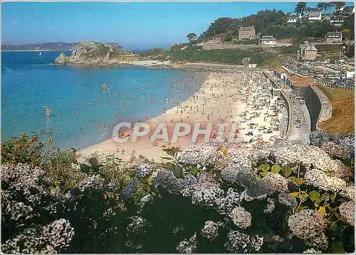 Cartes postales moderne Perros Guirec Cotes d'Armor La plage de Trestrignel
