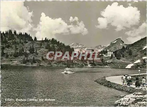 Cartes postales moderne Trubsee mit Hahnen