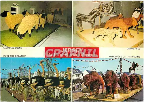 Cartes postales moderne Jersey Battle of Flowers Museum La Robeline Mont des Corvees St Ouen Zebre Lion Tigre Autruche B