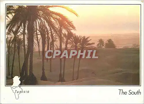 Cartes postales moderne Tunisia The South Crepuscule sur le Sahara