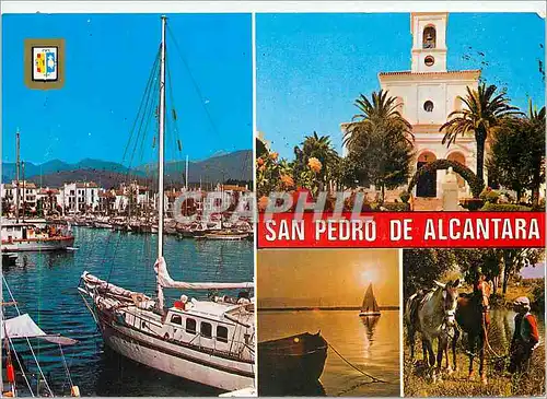 Cartes postales moderne San Pedro de Alcantara Costa del Sol Divers aspects