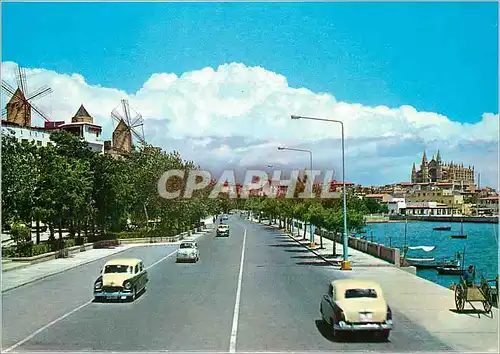 Cartes postales moderne Mallorca Baleares Espana Palma Paseo Maritimo y la Catedral