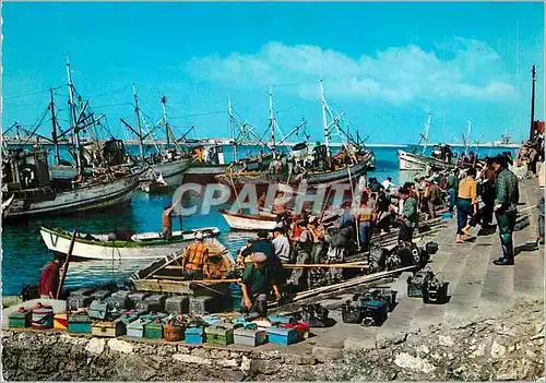 Cartes postales moderne Figueira da Foz Scene typique au marche du poisson
