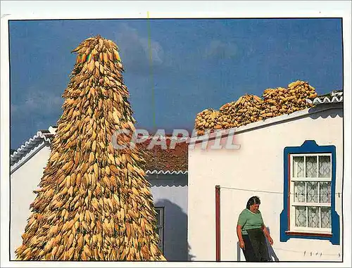 Cartes postales moderne Acores Portugal Terceira Cas Tradicional E Burra de Milho