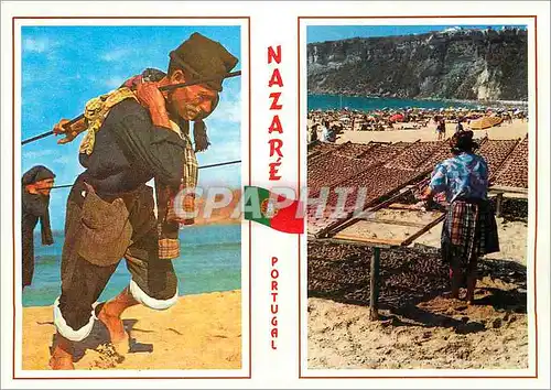 Cartes postales moderne Nazare Portugal Souvenir de Nazare