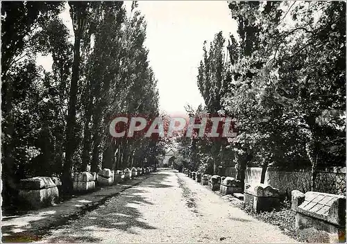 Moderne Karte La Provence Romaine Arles B du Rh Les Alyscamps