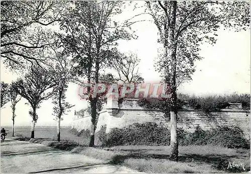 Cartes postales moderne Brouage Charente Maritime Fortification de Brouage Route de Marennes