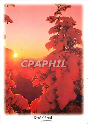 Cartes postales moderne Image de Montagne Feerie hivernale