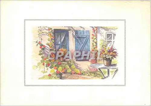 Cartes postales moderne Collection florale