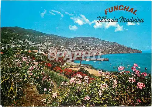 Cartes postales moderne Madeira Vue de Funchal