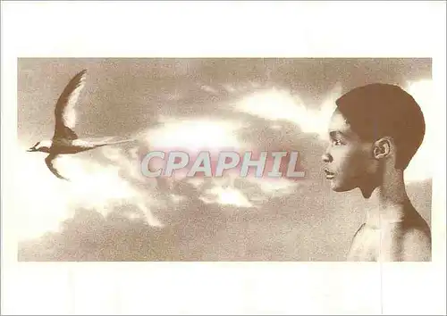 Cartes postales moderne L'enfant et l'oiseau