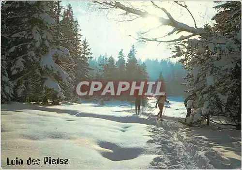 Cartes postales moderne Loin des Pistes