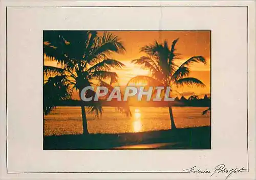 Cartes postales moderne Coucher de soleil