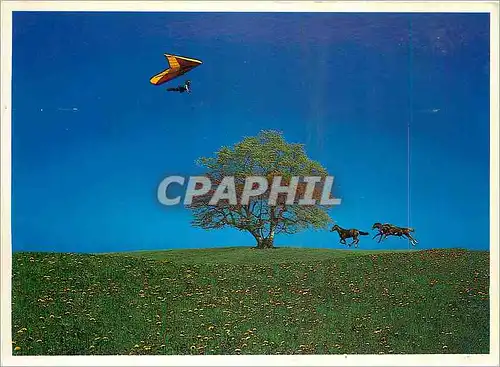 Cartes postales moderne Deltaplane