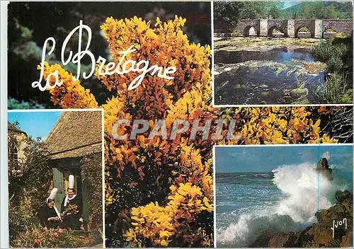 Cartes postales moderne Couleurs et Lumiere de France La Bretagne Pittoresque Paysage Breton