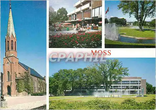 Moderne Karte Moss