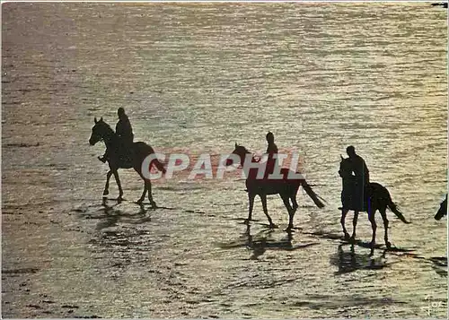 Moderne Karte Promenade equestre sur la plage