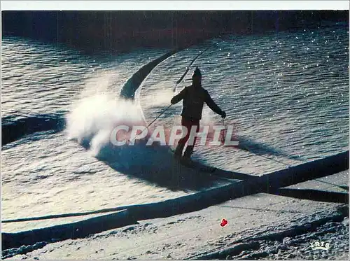 Cartes postales moderne Ski sauvage