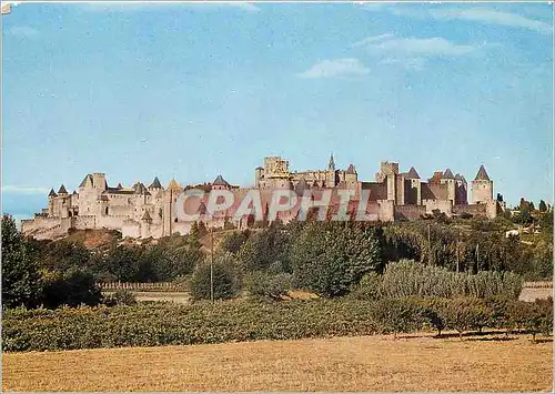 Cartes postales moderne Cite de Carcassonne Aude Vue generale de la Cite