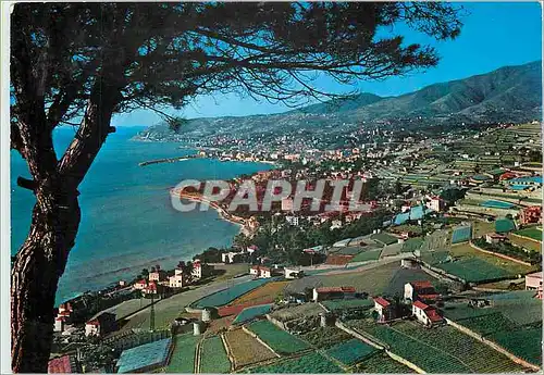 Cartes postales moderne Sanremo Cotes des Fleurs Panorama vu d'orient