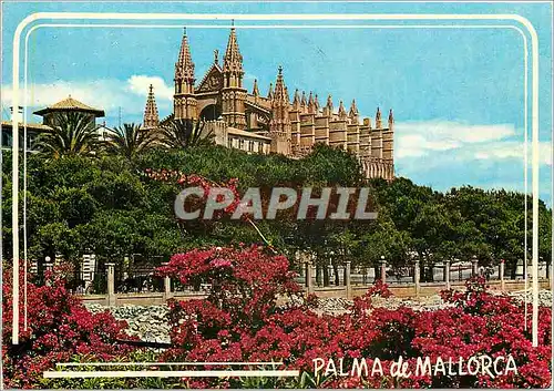 Cartes postales moderne Mallorca Baleares Espana Palma