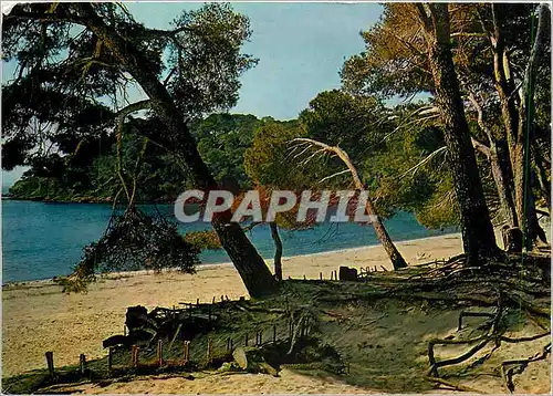 Moderne Karte Mediterranee aux plages d'or ensoleillees Calanque ou la vague s'abrite