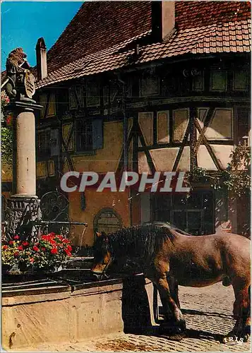 Cartes postales moderne Riquewihr Fontaine de la Sinne