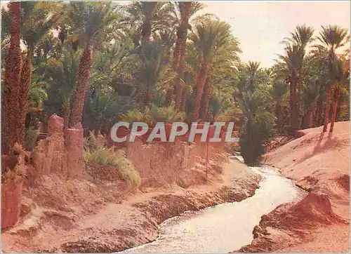 Cartes postales moderne Maroc Typique Sud Marocain