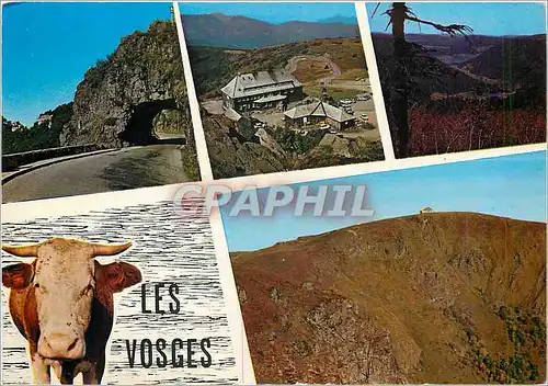 Cartes postales moderne Vosges Pittoresques La Schlucht Le Grand Ballon