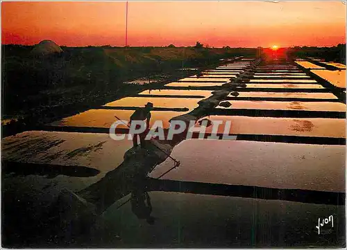 Cartes postales moderne Couleurs et Lumiere de France Sur la Cote Atlantique Coucher de soleil sur les marais salants