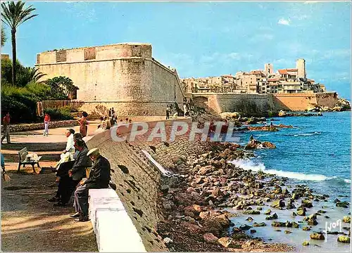 Cartes postales moderne La Cote d'Azur miracle de la nature Antibes Alpes Maritimes Restes des Remparts